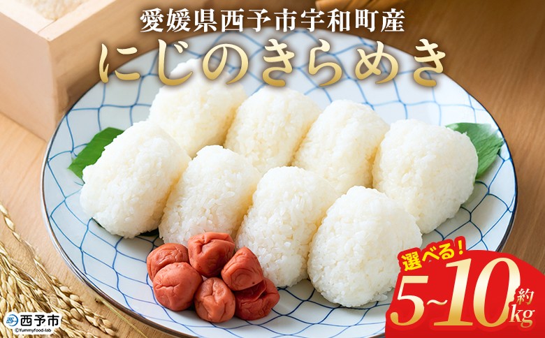 
            ＜にじのきらめき 約5kg/10kg＞ 選べる 5キロ 10キロ ニジノキラメキ 米 お米 コメ こめ 白米 精米 ご飯 ライス 大粒 穀物 西予応援米 特産品 愛媛県産 西予市産 宇和町産 前田農園 愛媛県 西予市 【常温】
          