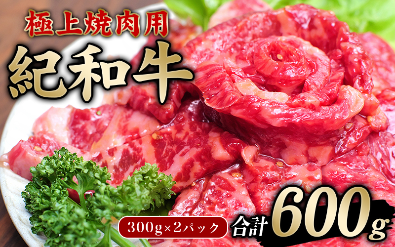 極上紀和牛タレ仕込味付焼肉 300g×2パック 合計600g【冷凍】 / 肉 牛肉 牛 小分け 味 焼き肉 焼肉 【tnk205A】