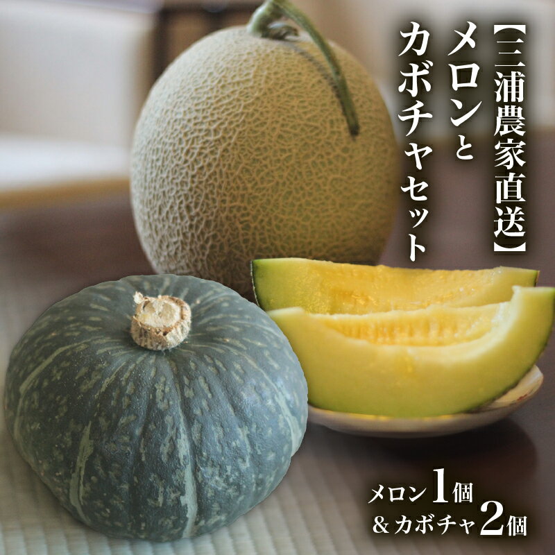 【ふるさと納税】 三浦農家直送 メロン と カボチャ セット フルーツ 果物 果実 かぼちゃ 南瓜 野菜 根菜 期間 数量 限定 甘い あまい おいしい 採れたて 直送 めろん 旬の果物 贈答 ヤマイチ農園 ふるさと納税 神奈川 三浦市 おすすめ ランキング プレゼント ギフト