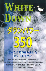 【数量限定・訳あり】羽毛合掛けふとん【ダブル】ホワイトダウン８５％使用【柄お任せ】