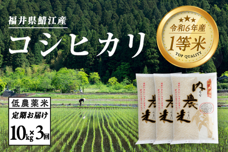 【令和7年産 新米！】【2025年10月上旬以降 順次発送予定】【3ヶ月連続お届け】令和7年産 内農米コシヒカリ定期便 10kg × 3回 計30kg