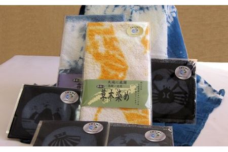 【74002】ジオパーク応援グッズB