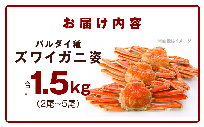 【訳あり規格】バルダイ種 ズワイガニ姿 1.5kg（2～5尾）【ボイル済み オオズワイガニ かに カニ 蟹 ズワイガニ ファミリー向け】 G2788