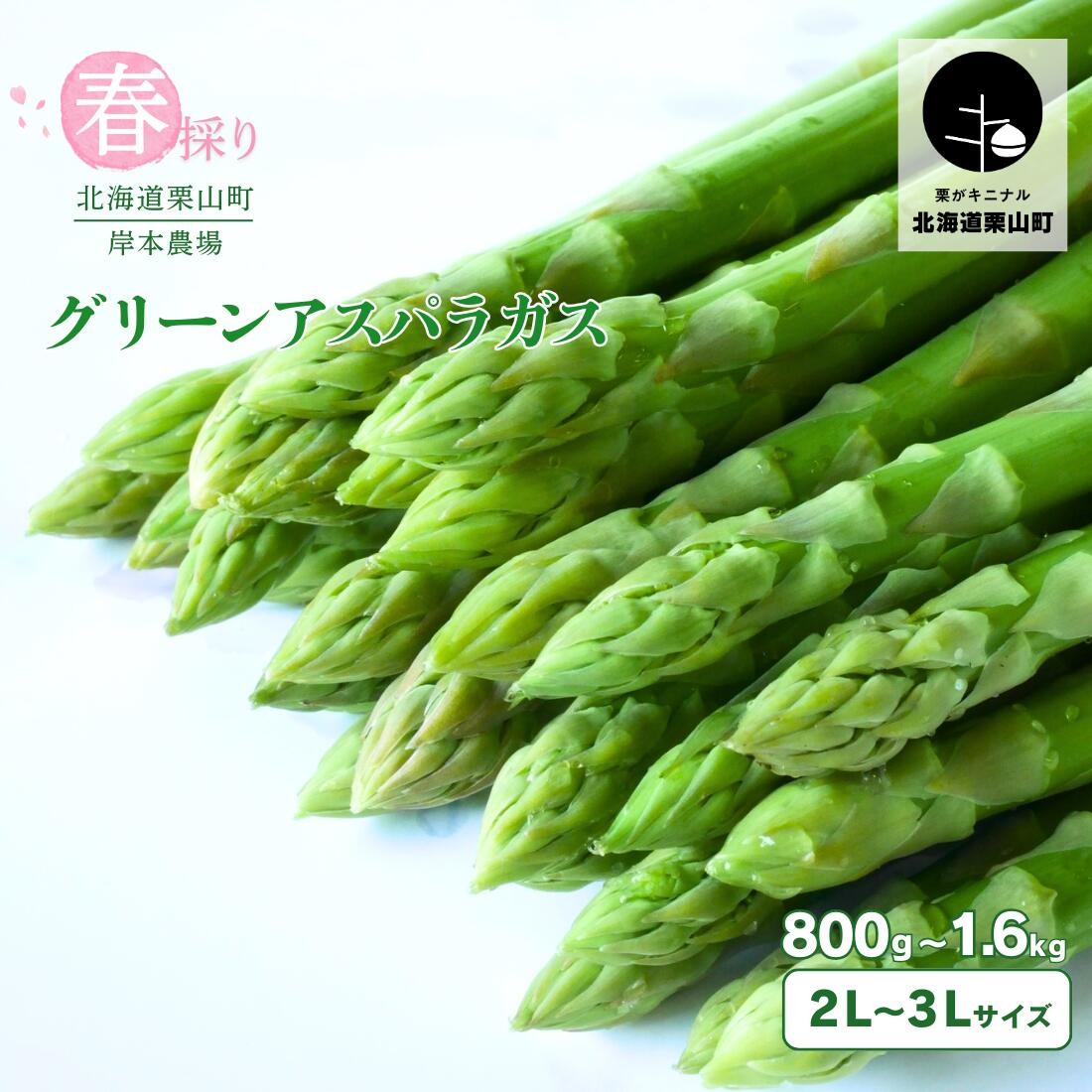 【ふるさと納税】【2027年度産 先行予約】極太 北海道産 春採りグリーンアスパラガス　3L〜2L 岸本農場