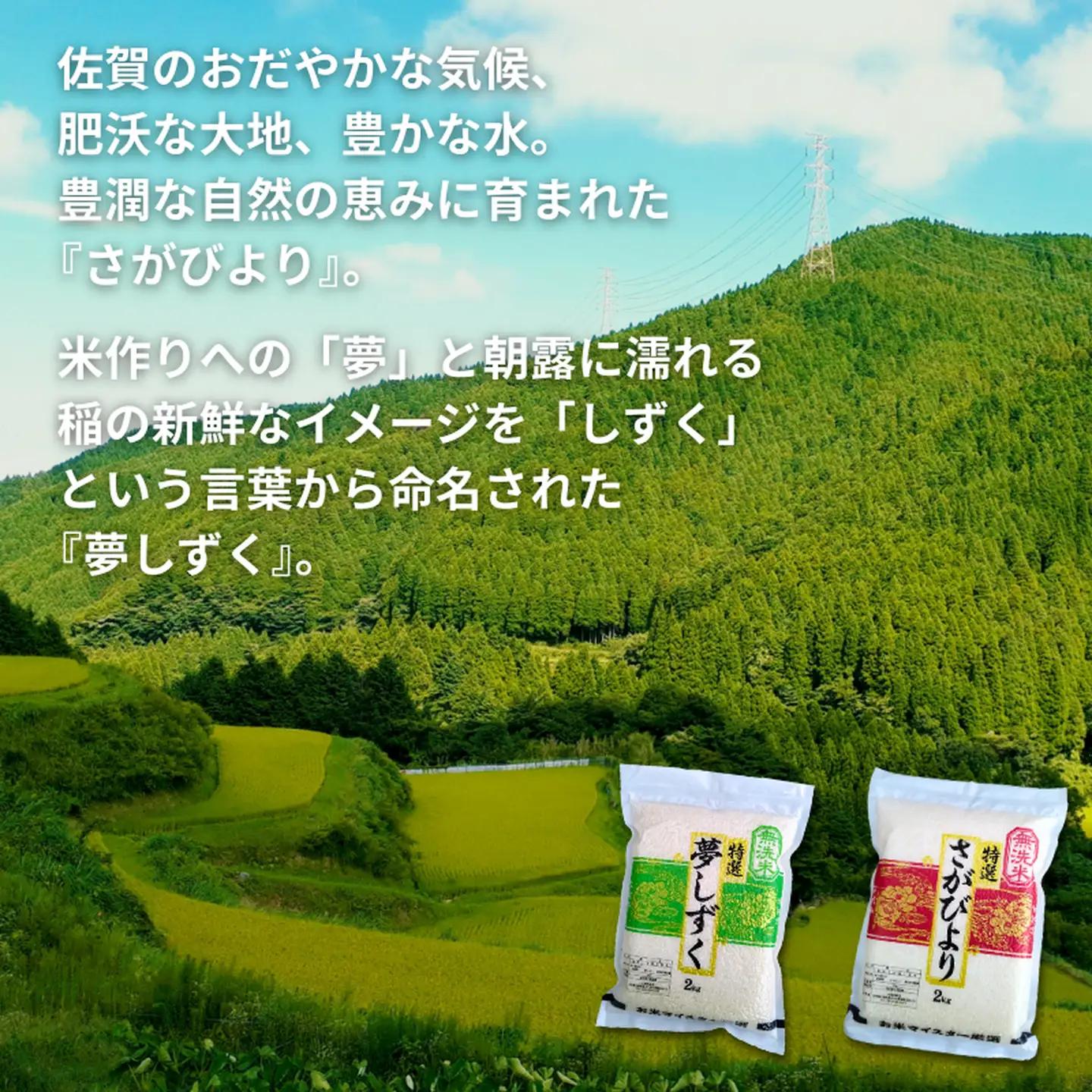 五つ星お米マイスターが厳選！【無洗米】食べ比べセット さがびより2kg×2袋・夢しずく2kg×2袋（真空パック）：B255-017