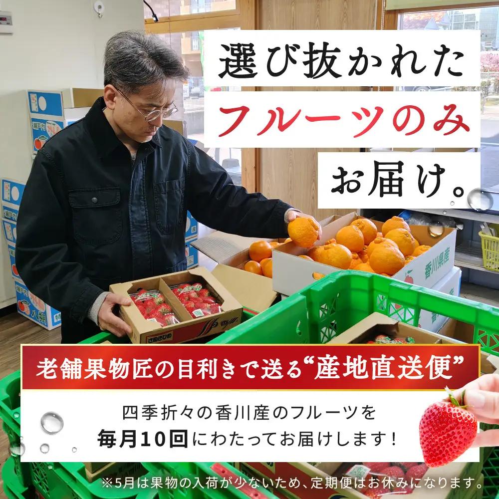 【定期便10回Sサイズ】 フルーツ セット ( 約3 ～ 5品 × 10ヶ月 ) ｜フルーツ