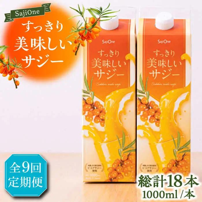 【全9回定期便】すっきり美味しいサジー 1000ml×2本 VAX042 サジージュース