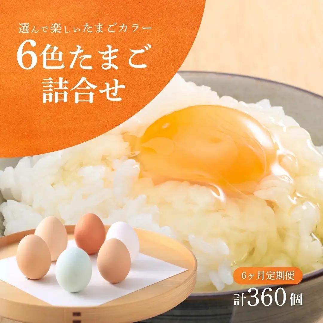 たまご 6回 定期便 産みたて 6色たまご詰合せ 60個