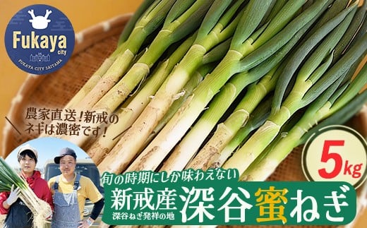 
            ＜先行予約＞深谷新戒産　深谷ねぎ　5kg　【11218-0381】
          