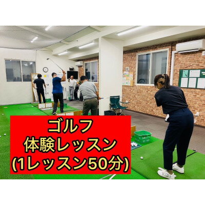 【ふるさと納税】「ゴルフの学校」体験レッスン(1レッスン50分)【1740521】