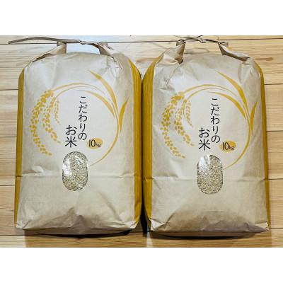 ふるさと納税 茂原市 新米 令和7年産 千葉県茂原市産 ふさこがね 玄米20kg(10kg×2)