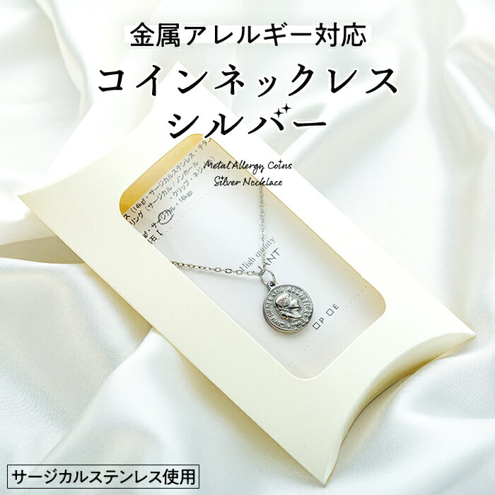【ふるさと納税】金属アレルギー対応コインネックレス　シルバー　 アクセサリー 装飾品 小物 ファッションア ファッション小物 アイテム おしゃれ