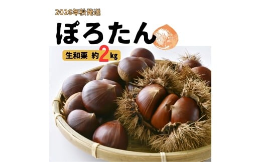 生栗「ぽろたん」約2kg <2026年9月中旬発送> 長野県 信州 南信州 高森町 くり クリ 和栗 中平農園