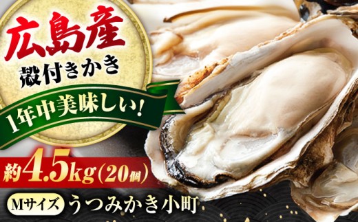 【年中旬の味】 広島県福山市産 殻付き 牡蠣 うつみかき小町 Mサイズ 20個（約4.5kg） 厳選 生食可 かき カキ オイスター 殻付 焼き牡蠣 蒸し牡蠣 牡蠣鍋 BBQ バーベキュー 海鮮 海の幸 カネト海苔水産 ふるさと納税 送料無料 魚介類 カキ ふるさと納税カキ 海鮮 真牡蠣 魚貝 牡蠣 魚貝類 貝 ふるさと納税牡蠣 魚介[BAAQ008]
