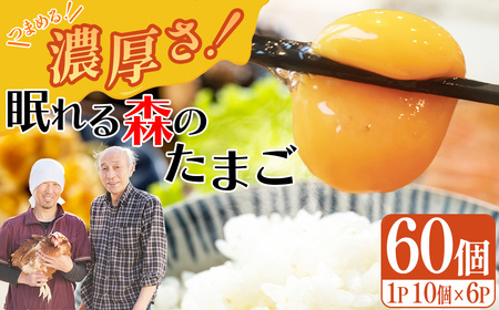 眠れる森のたまご　朝採れ卵60個   たまご タマゴ 卵 鶏卵 濃厚 こだわり 新鮮　【04301-0792】