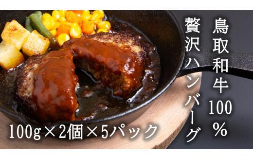 U1-5 鳥取和牛100％贅沢ハンバーグ（100g×2個×5パック）