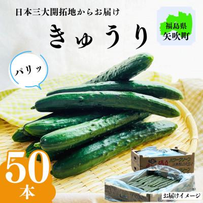 ふるさと納税 矢吹町 ミネラル豊富な土とたっぷりの日光で育ったきゅうり!【50本入り】