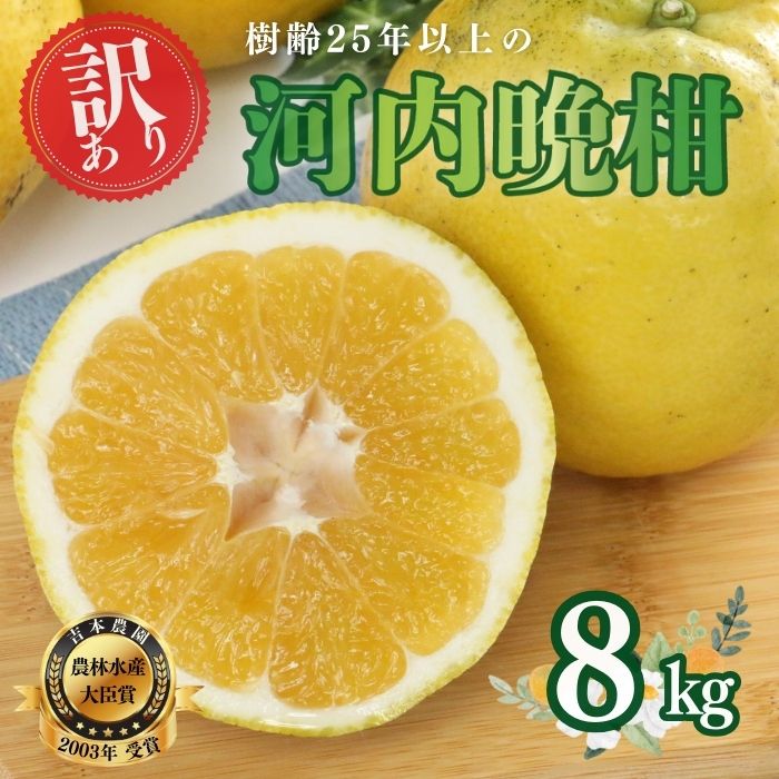 【訳あり】河内晩柑 8kg  (発送8/1～なくなり次第終了) 樹齢25年以上 愛南ゴールド