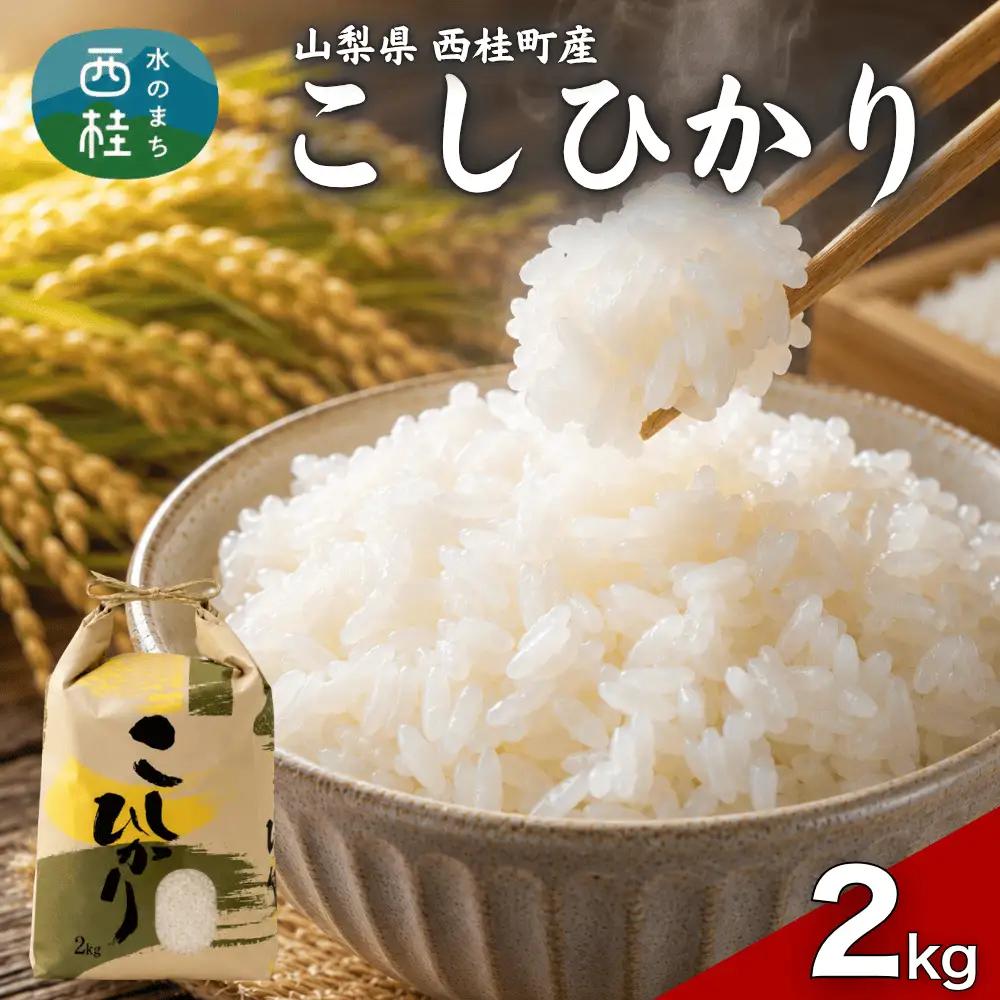 コシヒカリ 2キロ 1袋 / 国産 こしひかり  2キロ 令和7年 新米 米 お米 保存袋 生活必需品 ギフト 贈り物 お歳暮 ふるさと納税 送料無料