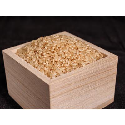 ふるさと納税 御代田町 荻原くん家のお米　玄米　5kg　R7年御代田町産　ミネラル肥料使用 |  | 02