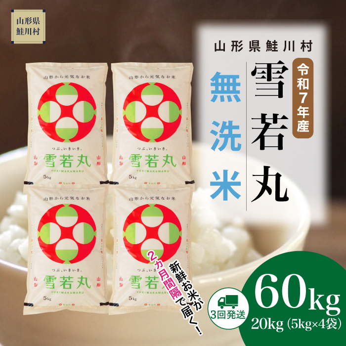 ＜令和7年産米＞ 雪若丸 【無洗米】60kg定期便(20kg×3回)　《配送時期指定可》