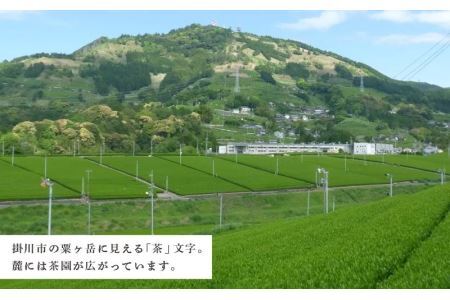 世界農業遺産 静岡の茶草場農法 掛川深蒸し茶 ・ 普段使い熱湯用 300g × 3袋 計900g （新茶 ･令和7年6月下旬より発送　② 令和6年度産： 今すぐ発送 ）大塚製茶（※新茶受付あり） 19