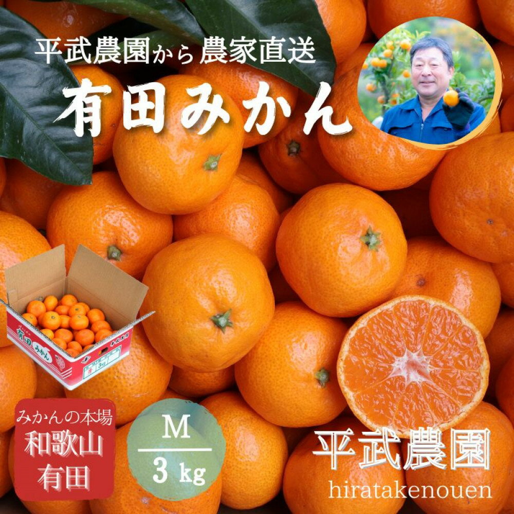 【ふるさと納税】農家直送！有田みかん（3kg Mサイズ 秀品）平武農園　～蛍飛ぶ町から旬の便り～ | フルーツ 果物 くだもの 食品 人気 おすすめ 送料無料