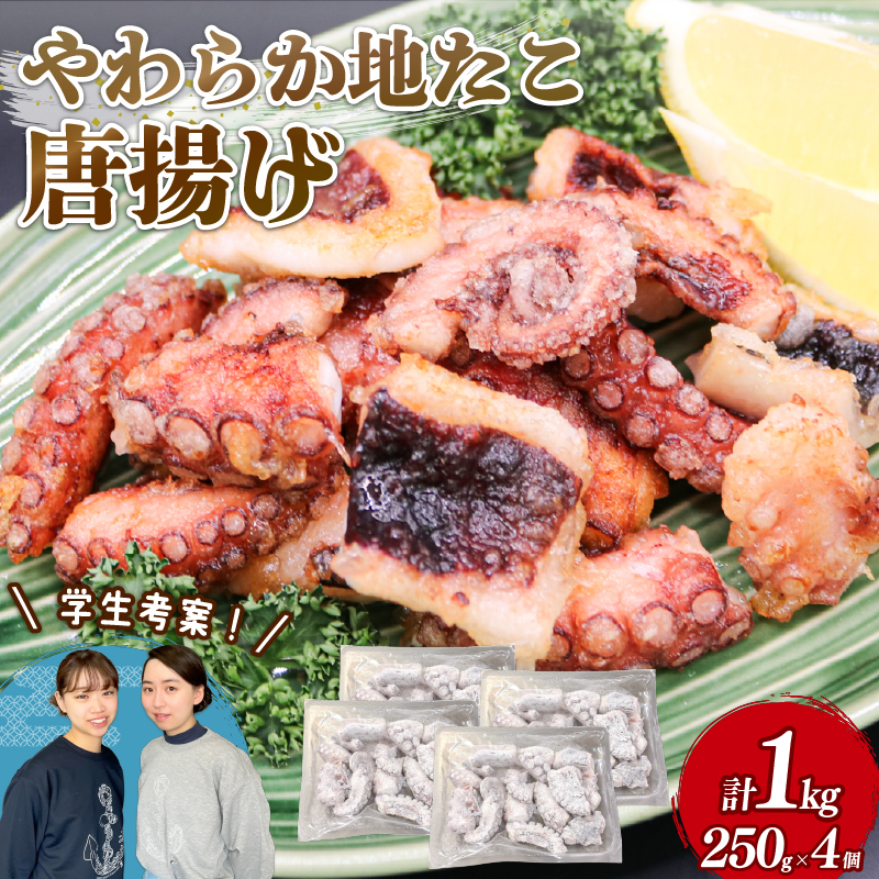 やわらか 地たこ 唐揚げ 250g×4 (計1kg) カット済み ヤナギダコ 冷凍 大船渡市