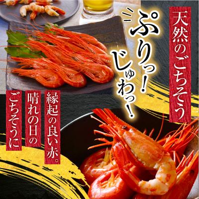 ふるさと納税 根室市 ＜12/14まで年内配送＞★北海しまえび250g×3P(計33〜48尾) F-20012 |  | 02