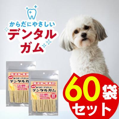 ふるさと納税 久留米市 からだにやさしいデンタルガム 超小型犬用 SS 22本×60袋(久留米市)