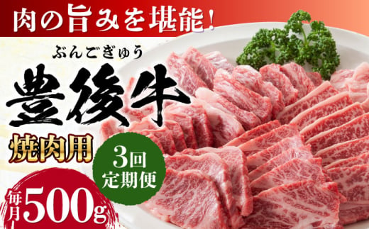 【全3回定期便】おおいた豊後牛 焼肉用 500g 日田市 / 株式会社MEAT PLUS　牛 うし 黒毛和牛 和牛 豊後牛 [AREI098]