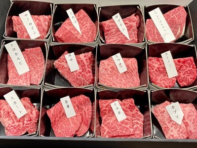 京の肉 ひら山厳選 京都府産 黒毛和牛 希少部位 12種盛 食べ比べセット 計600g《最高級 A5ランク 熟成 熟成肉 冷蔵 牛焼肉 和牛焼肉 肉焼肉 牛肉焼肉 亀岡牛焼肉 京都肉焼肉 国産 国産牛