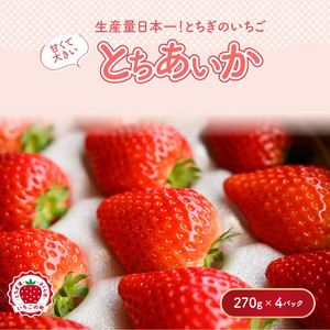 【先行予約】いちご とちあいかセット 270g×4パック（1.08kg以上） ｜いちご イチゴ 苺 先行予約 栃木県 果物 くだもの フルーツ とちあいか 新鮮 贈答 ギフト ※2026年1月上旬～4月中旬頃に順次発送予定