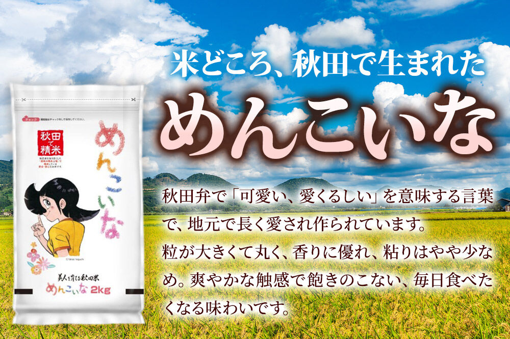 米《定期便3ヶ月》めんこいな【白米】 米どころ秋田県産 令和7年産 精米 8kg（2kg×4袋） [米 お米 こめ 白米 精米 ブランド米 小分け ご飯 ごはん 米どころ 秋田県産 2kg袋]