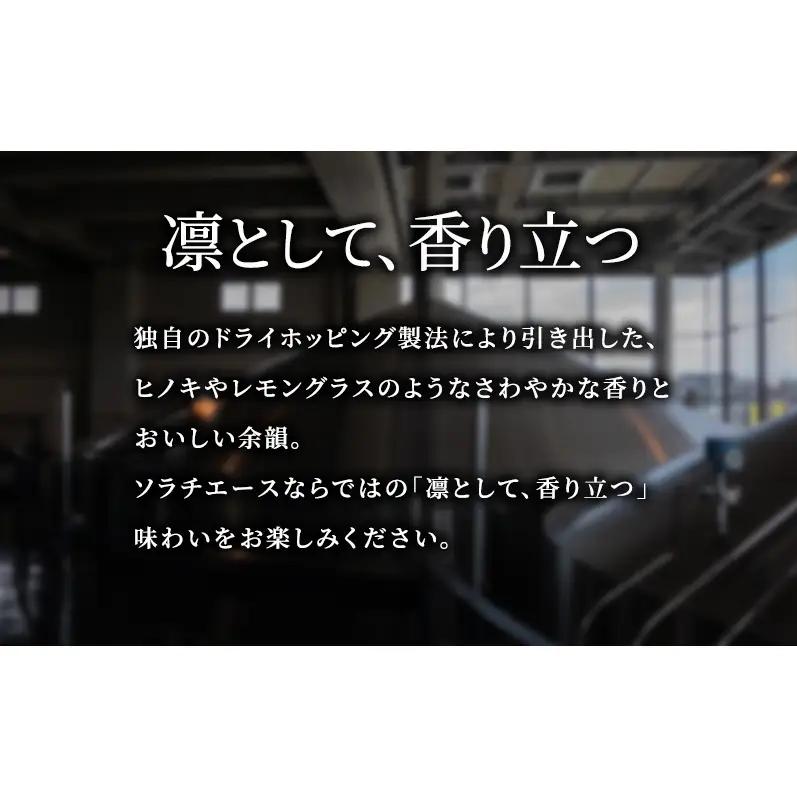 サッポロビール【2ヵ月連続定期便】SORACHI 1984 350ml×24缶