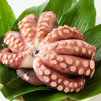 ふるさと納税 いすみ市 地だこ 1杯 (1.8kg〜2.0kg) |  | 01