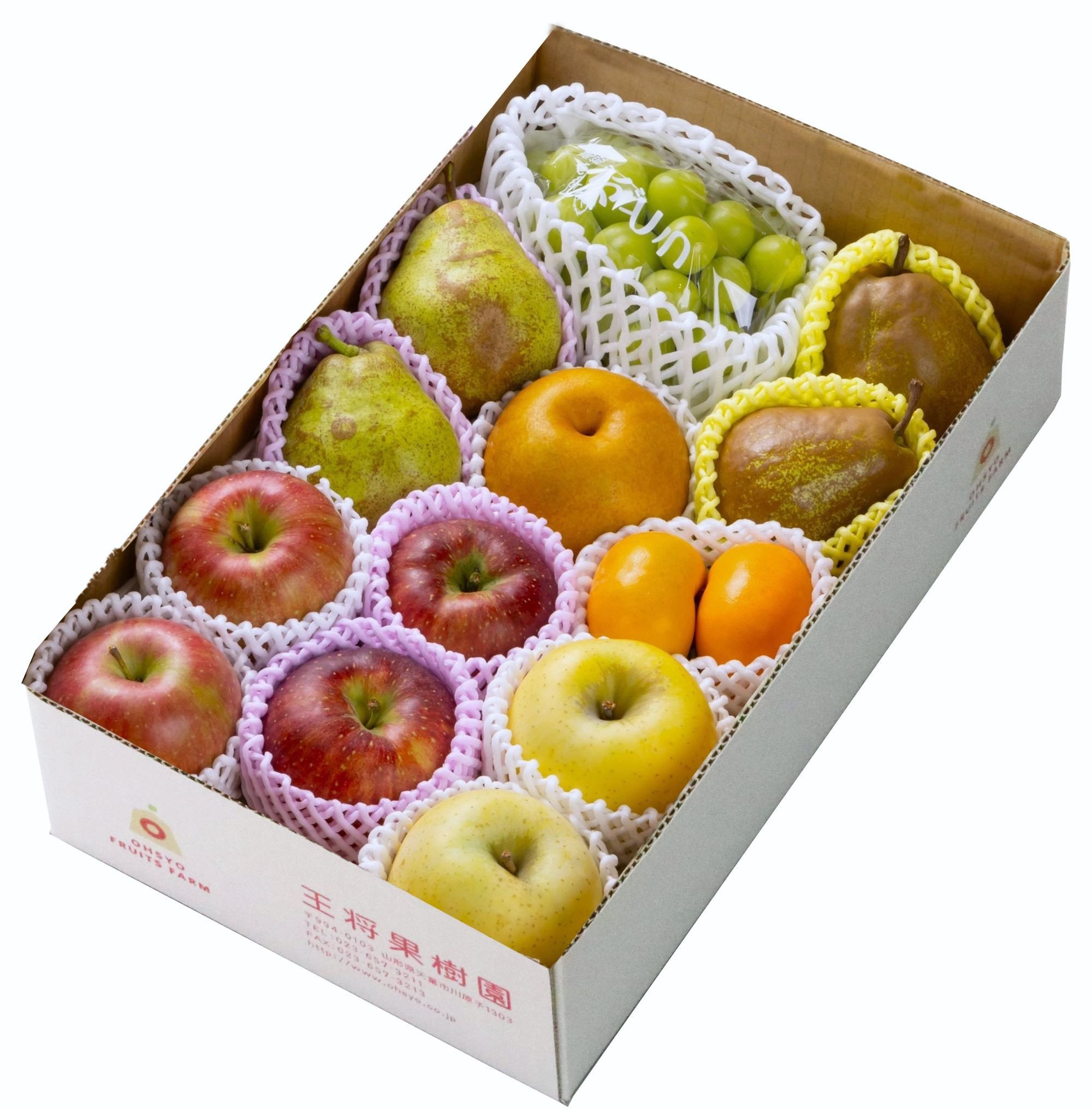 
            08-03-025　季節のフルーツ詰合せ(10月分)約5kg
          