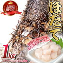 【ふるさと納税】【緊急支援品】＼漁業者応援品／ほたて貝柱500g 選べる 2P 〜 3P 北海道 根室市 ほたて 帆立 海鮮 貝 かい カイ 帆立貝 ホタテ貝