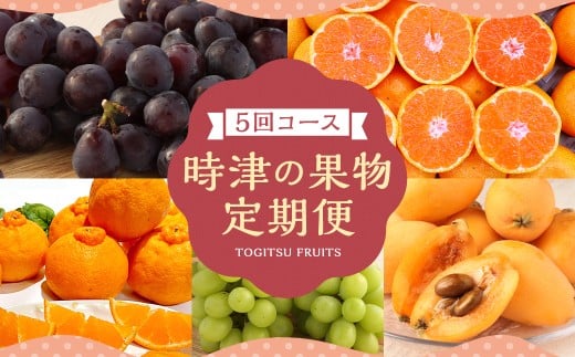 【定期便5回コース】時津の果物定期便 みかんとぶどうの町から贈る 特産品の定期便 シャインマスカット 巨峰 みかん 不知火 びわ 【2025年12月上旬より順次発送予定】
