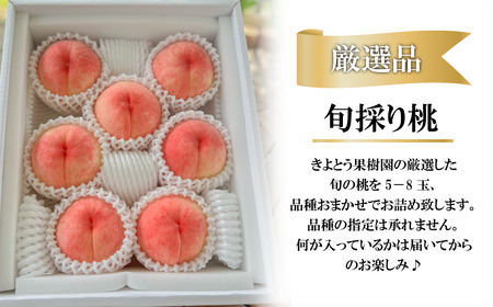 【きよとうファーム】厳選品 旬の桃（品種おまかせ） 5-8玉入 (岡山県産)【KF-A015-01】