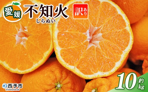 ＜訳あり 不知火 (サイズ混合) 約10kg＞ 10キロ 愛媛 蜜柑 ミカン みかん 果物 フルーツ 柑橘 国産 しらぬひ しらぬい シラヌイ 不知火 愛媛県産 西予市産 西宇和 特産品 丸二青果 愛媛県 西予市【常温】『2026年2月～4月中旬頃までに順次出荷予定』
