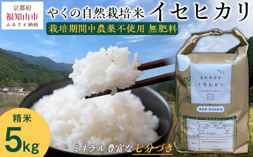 【先行予約・2025年11月より発送開始！】やくの自然栽培米　イセヒカリ 5kg　 令和7年産 こめ コメ 米 白米 精米 イセヒカリ いせひかり お米 ごはん やくの 夜久野 京都府 福知山市 FCEV003
