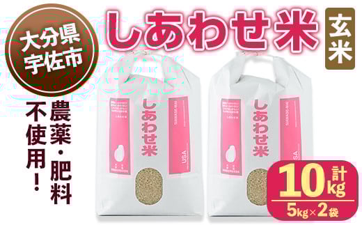 ＜先行予約受付中！11月以降発送予定＞しあわせ米 玄米(計10kg・5kg×2袋) お米 10キロ 常温 常温保存 【101000602】【宇佐本百姓】