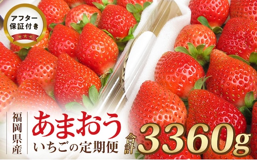 
										
										【いちごの定期便】福岡県産 あまおう 合計3,360g (2月・3月・4月の3回 1,120g(280g×4パック))
									