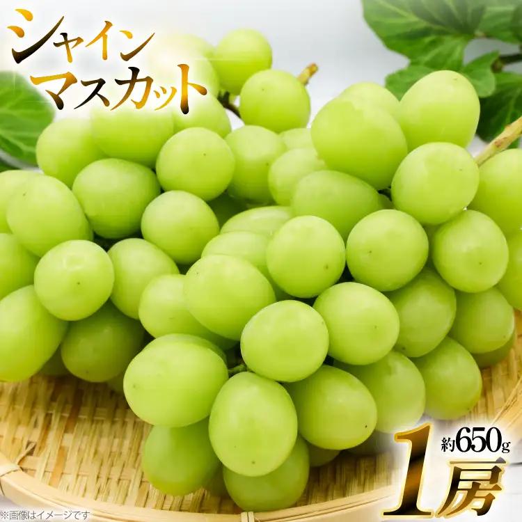 【期間限定発送】 シャインマスカット 1房 約 650g [いわた果樹園 山形県 高畠町 tk06ayt400000]