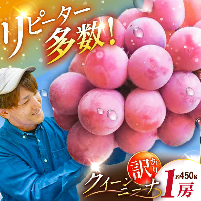 【ふるさと納税】【2026年先行予約】【30個限定】【ご自宅用】リピーターが続出中！クイーンニーナ 1房（約450g）簡易包装 訳あり ぶどう ブドウ 葡萄 フルーツ 果物 くだもの 種なし 家庭用 先行予約赤ぶどう 島根県雲南市/ギアファーム[AIAB006]