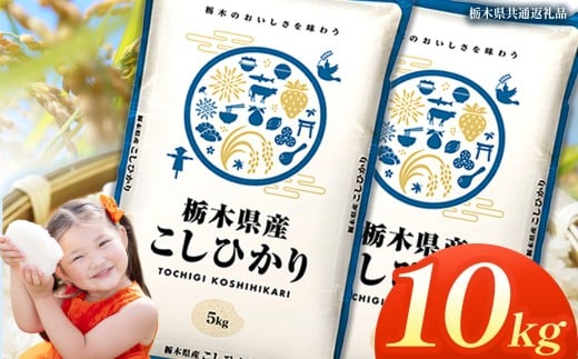 栃木県産コシヒカリ 10kg | 2025年 2025年米 令和7年米 秋 白米 ごはん ご飯 小分け 人気 おいしい 旨い おにぎり おむすび お弁当 限定 栃木県共通返礼品 栃木県 下野市 送料無料