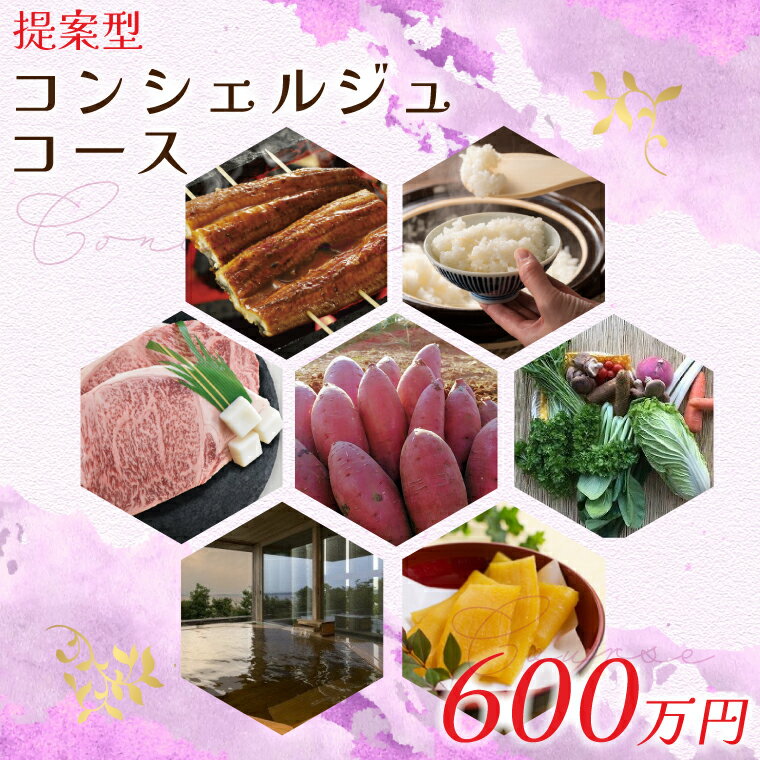 【提案型】コンシェルジュコース（600万円）