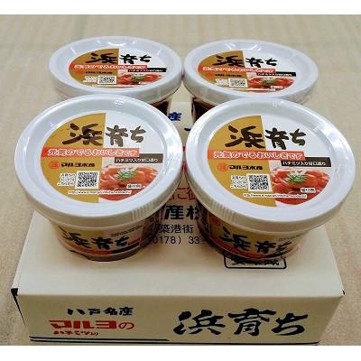 ふるさと納税 青森県 いか塩辛　浜育ち(220g×4)
