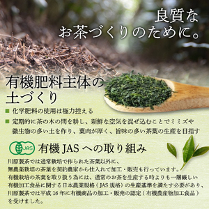 伊勢茶 一番茶 緑茶 ペットボトル 1ケース 500ml × 24本 緑茶